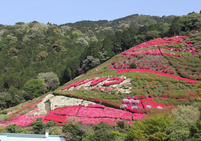 姫の沢公園